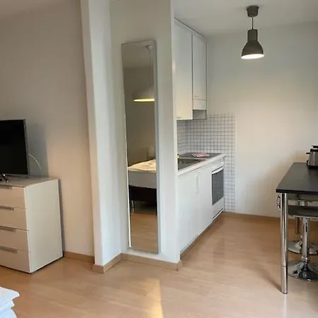 Apartment Terrific In The Centre - Art 2 Zurich